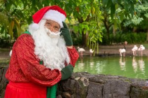 Leia mais sobre o artigo Confira os horários do Mangal das Garças, Estação das Docas e Parque do Utinga na semana do Natal