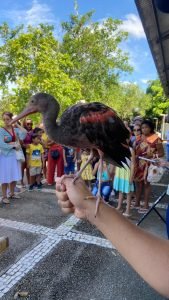Leia mais sobre o artigo Mangal, Estação e Parque do Utinga estarão abertos no feriado de Corpus Christi