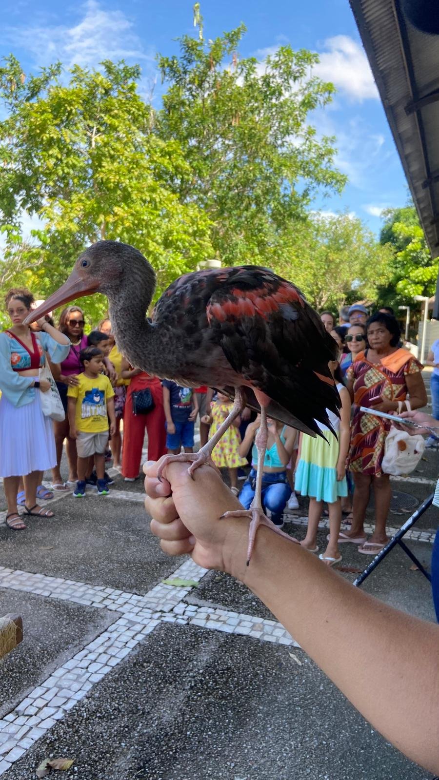 Leia mais sobre o artigo Mangal, Estação e Parque do Utinga estarão abertos no feriado de Corpus Christi