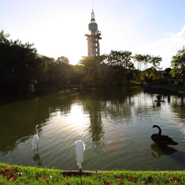 Mangal das Garças fecha dia 13 de novembro para evento da COP30