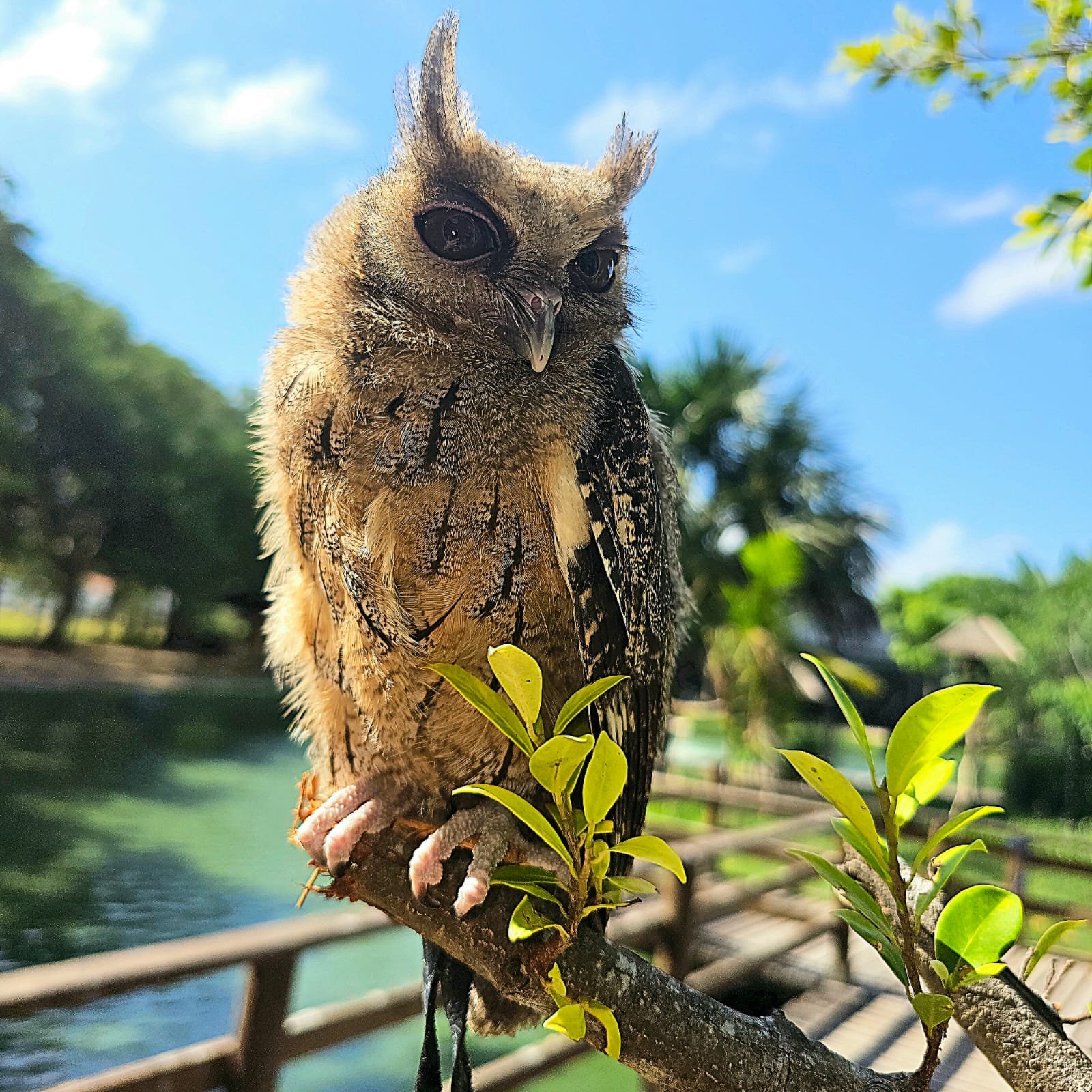 No momento, você está visualizando Mangal abre segunda dia 12, e fecha na quarta, 14, excepcionalmente
