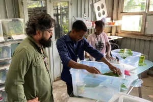 Leia mais sobre o artigo Profissionais de Luanda iniciam imersão no Mangal das Garças e fortalecem cooperação científica entre Belém e Angola