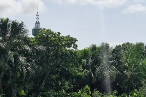 Leia mais sobre o artigo Mangal das Garças celebra 21 anos com programação gratuita e novo mapa ilustradoMangal das Garças celebra 21 anos com