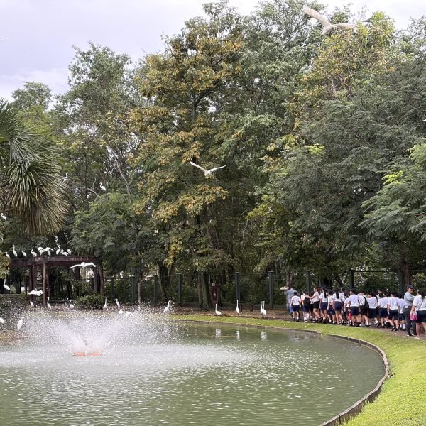 Organização Social Pará 2000 promove visita guiada no Mangal das Garças  para crianças do PROFESP reforçando compromisso com a educação ambiental 