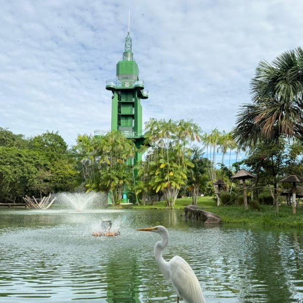 Mangal, Parque do Utinga e Estação das Docas mantêm funcionamento no feriado de 1ºde maio